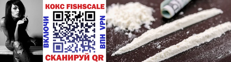 COCAIN Эквадор  как найти   Горбатов 