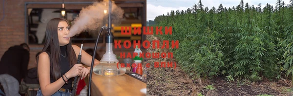 трава Абаза