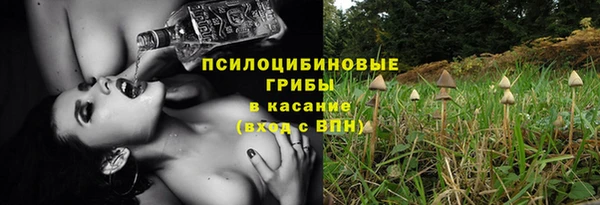 не бодяженный Семёнов