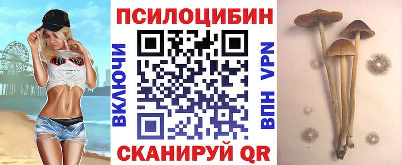 Псилоцибиновые грибы Cubensis  Горбатов 